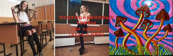 ECSTASY Кинешма